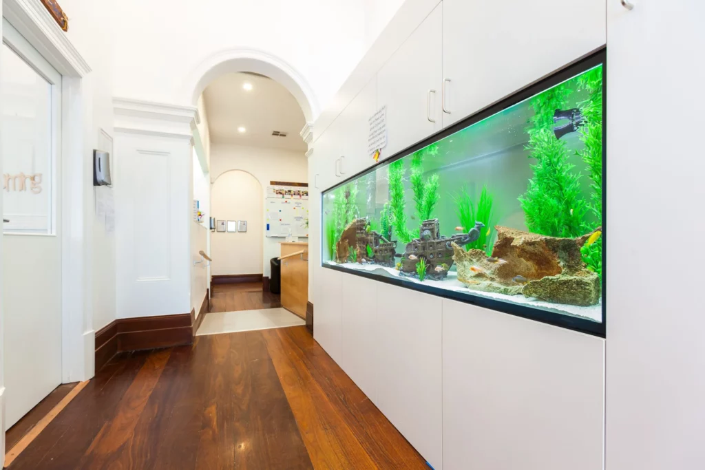 Bright hallway at Buttercups Perth Childcare featuring a large, vibrant aquarium with colourful fish and lush greenery, creating a calming and engaging environment for children to enjoy as they explore and learn.