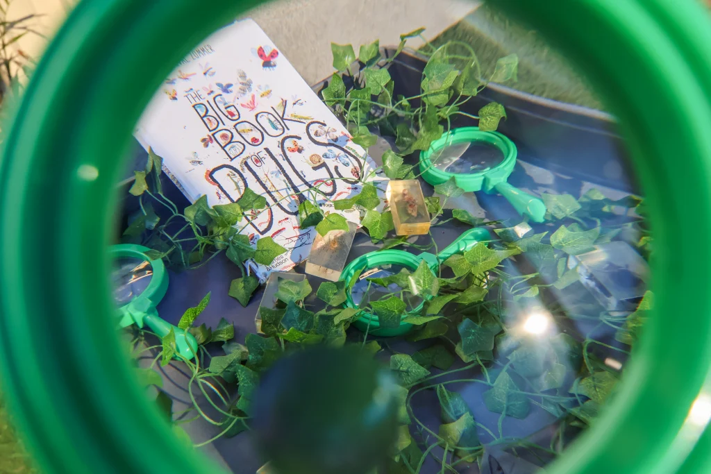 Close-up of an engaging insect-themed learning setup at Buttercups Childcare, featuring "The Big Book of Bugs," magnifying glasses, preserved insect specimens, and artificial greenery. The playful and interactive setup encourages curiosity and exploration in early childhood learning.