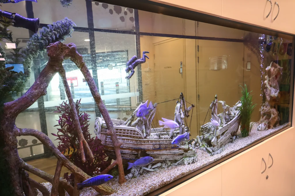 A large built-in aquarium at Buttercups Childcare features colourful fish, a sunken ship decoration, and aquatic plants. The engaging underwater scene adds a calming and interactive element for children.