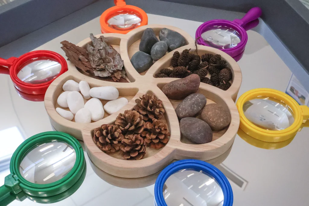 A sensory exploration activity at Buttercups Childcare and Early Learning Centre Lakelands features a wooden tray filled with natural materials such as pinecones, bark, and stones. Colourful magnifying glasses encourage hands-on discovery and curiosity about the natural world.